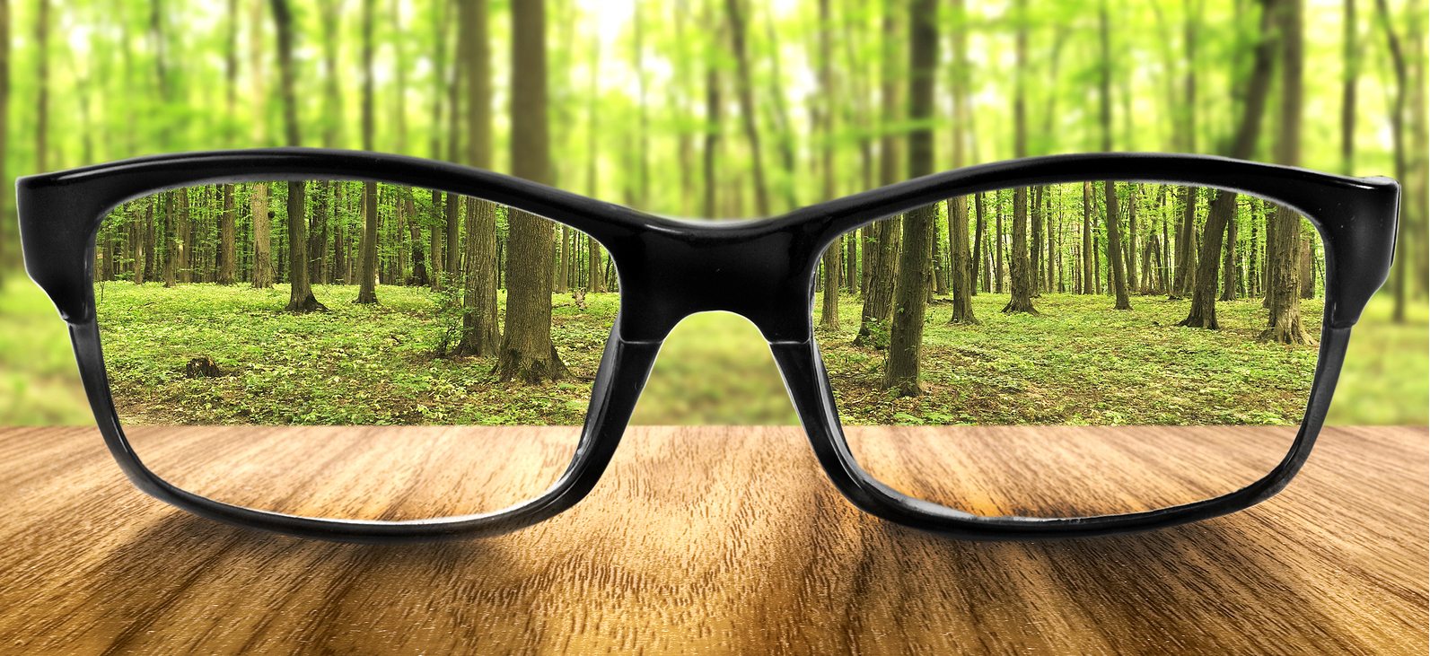 The Best Optometrist In Nerang For Surprisingly Perfect Vision