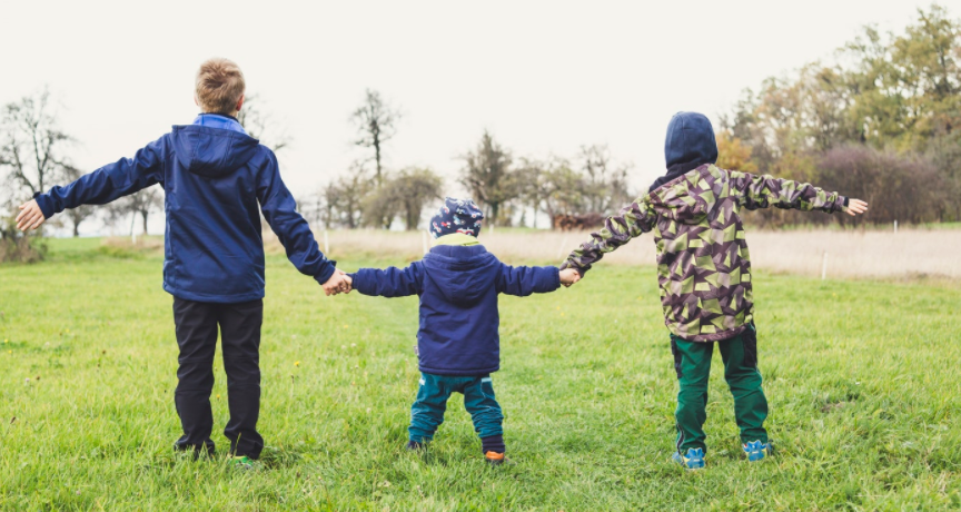 Foster care tweed heads