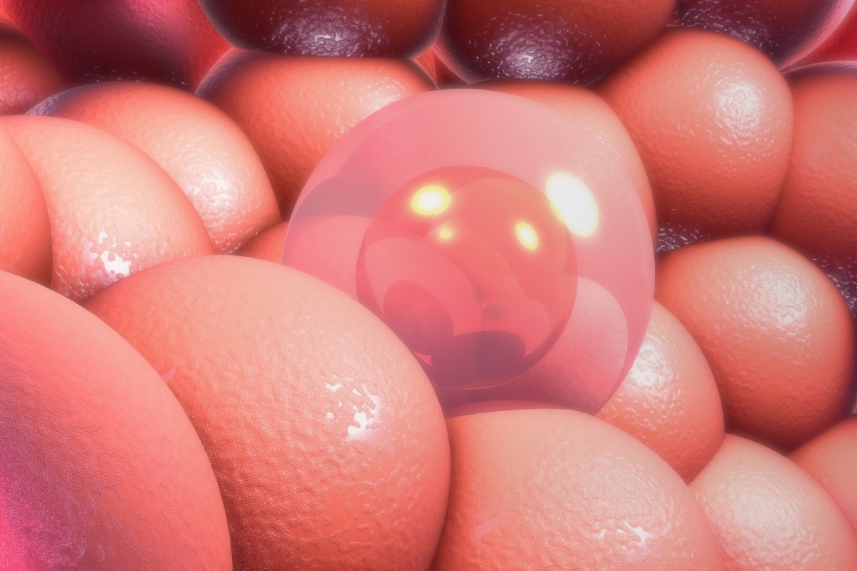 Fertility Specialist In Gauteng