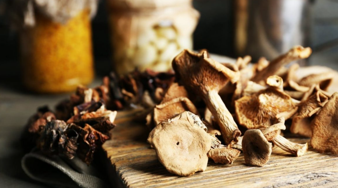 medicinal mushrooms in NZ 