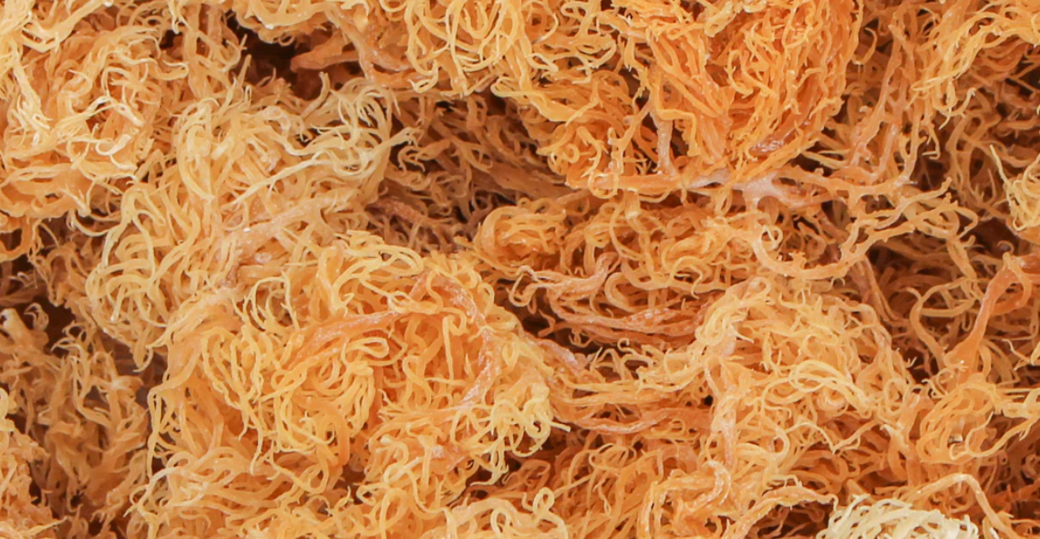 sea moss benefits skin
