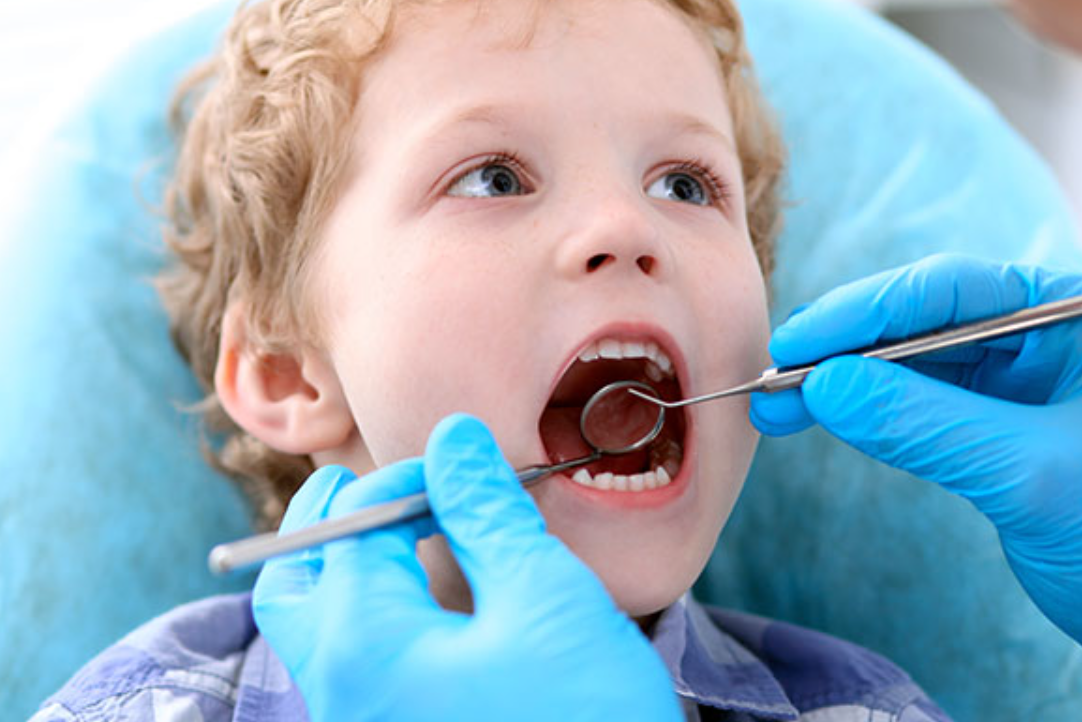 children's dentist in Gold Coast