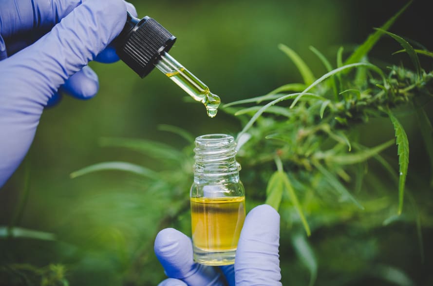 CBD oil prescriptions in NZ