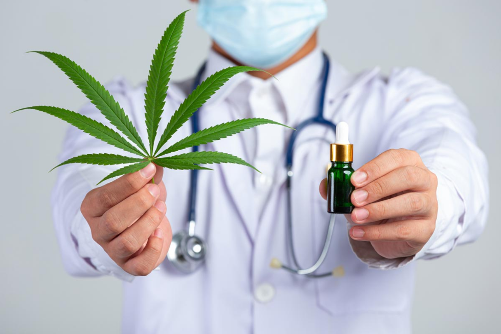 A Comprehensive Guide on Understanding Medical Marijuana in NZ