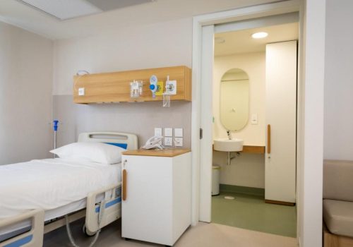 Discovering World-Class Healthcare Services in Mauritius